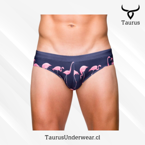 Brief Flamingo Azul