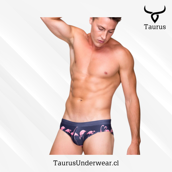 Brief Flamingo Azul - Imagen 4