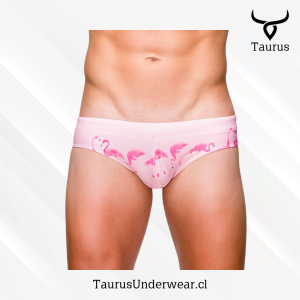 Brief Flamingo Rosado