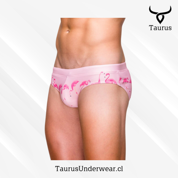 Brief Flamingo Rosado - Imagen 2