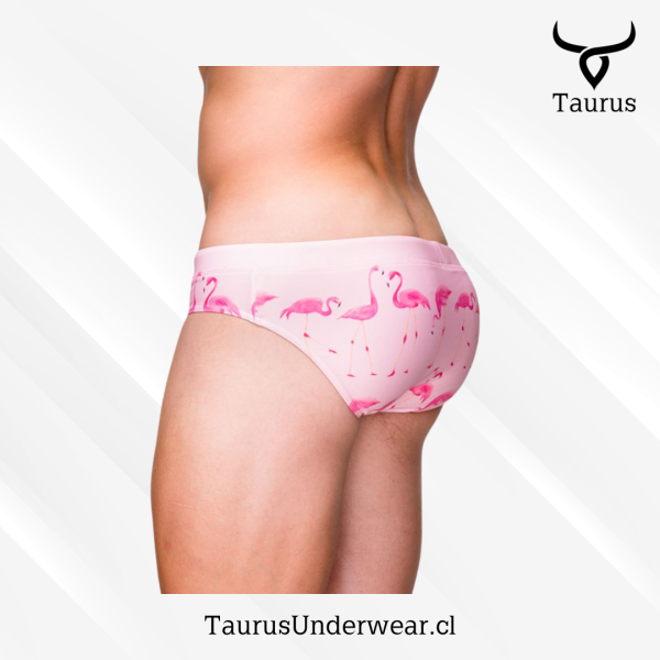 Brief Flamingo Rosado - Imagen 3
