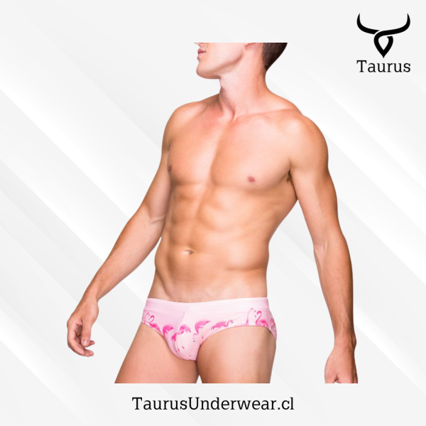 Brief Flamingo Rosado - Imagen 4