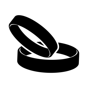 Anillo Erector