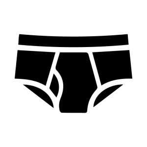 Brief